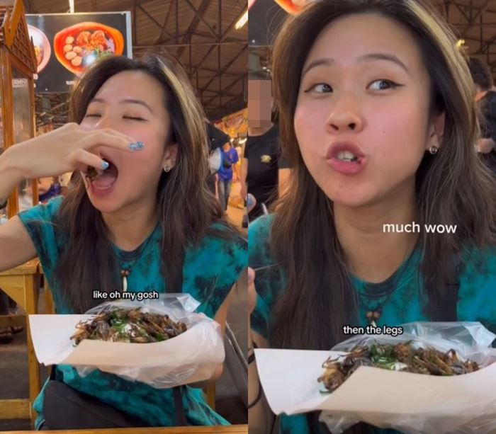 แมลงทอด