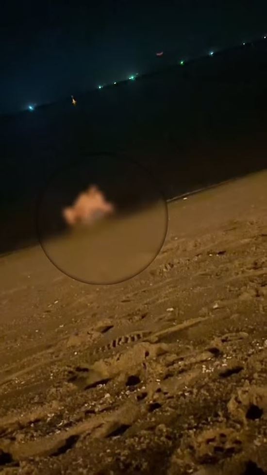 หนุ่มจีนระเริงรักสาวใหญ่ ริมหาดจอมเทียน