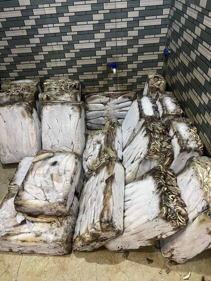 ร้านอาหารสกปรก