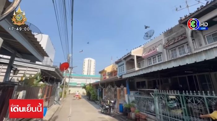 ปัญหาเพื่อนบ้าน ให้อาหารนกพิราบ