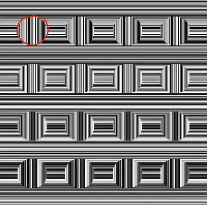 ปริศนาวงกลม