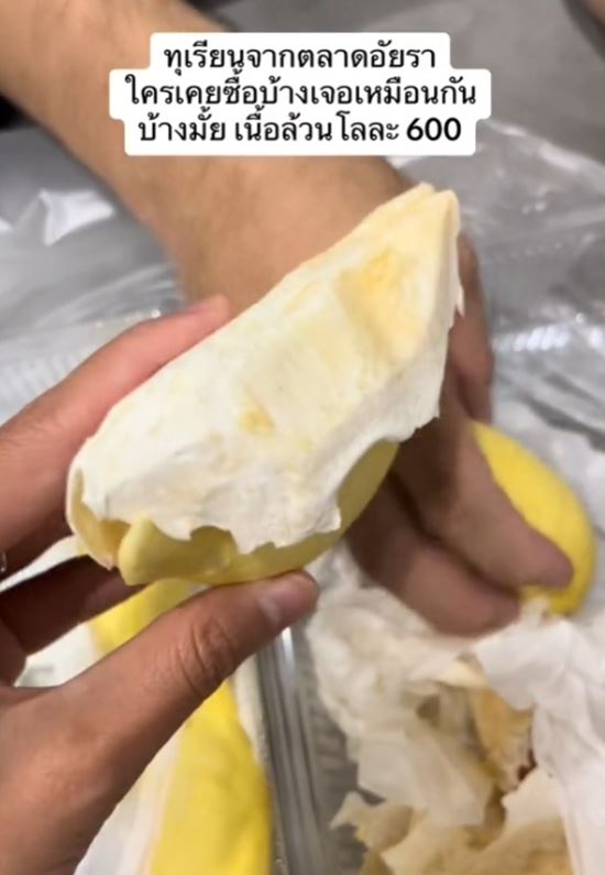 ทุเรียนเนื้อล้วน