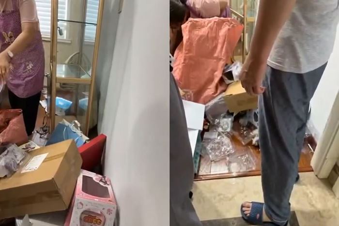 โมเดลสะสม