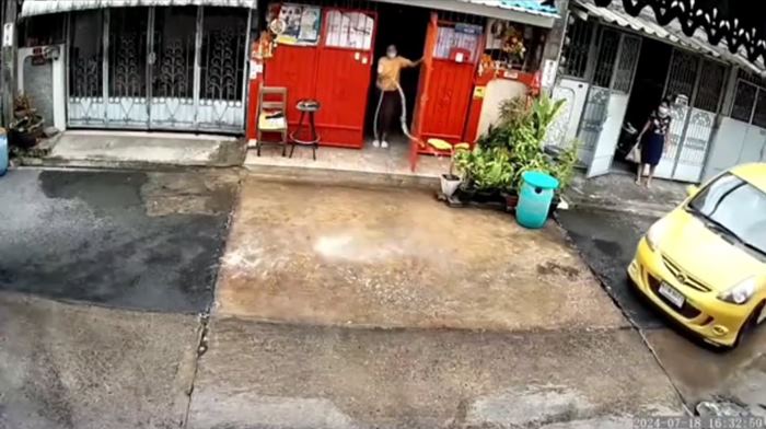 มนุษย์ป้า