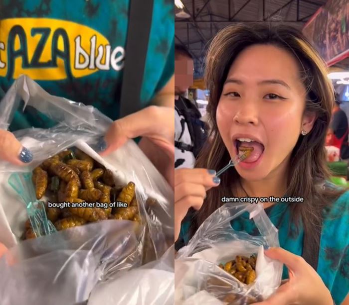 แมลงทอด