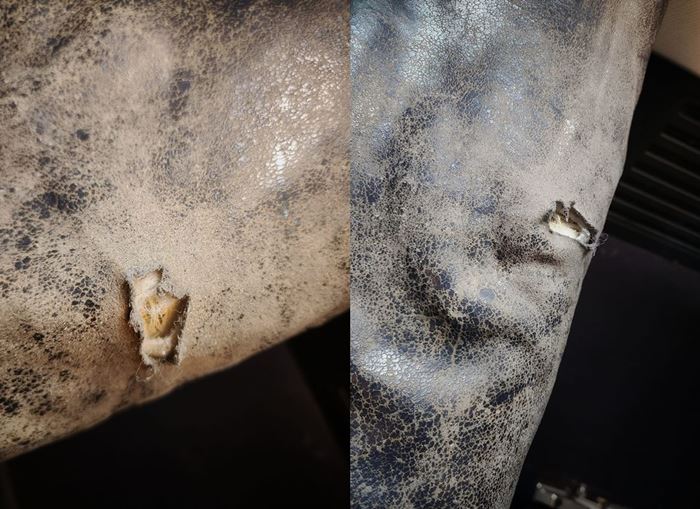 เครื่องบินสกปรก