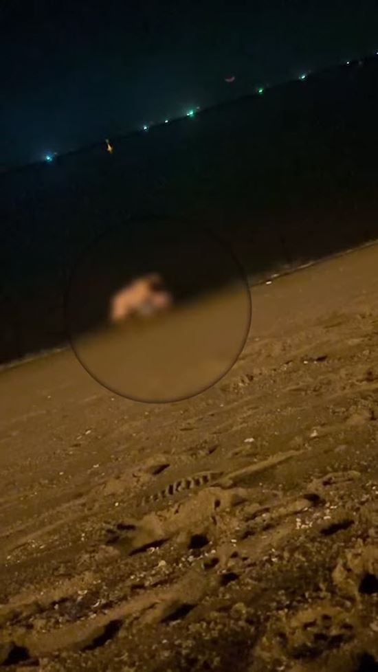 หนุ่มจีนระเริงรักสาวใหญ่ ริมหาดจอมเทียน