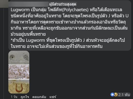 หนอนลูกโอ๊ค