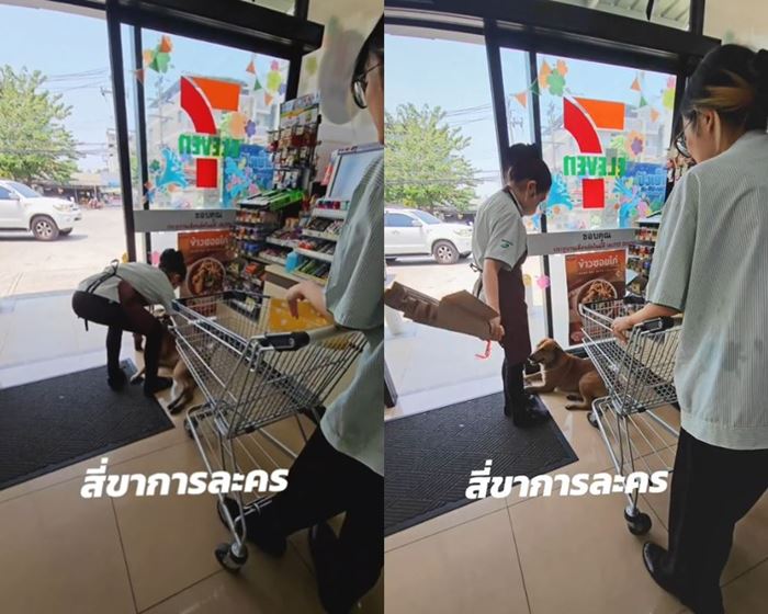 หมาเซเว่น