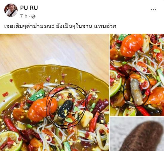 ตำป่ามรณะ