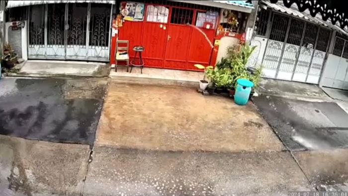 มนุษย์ป้า