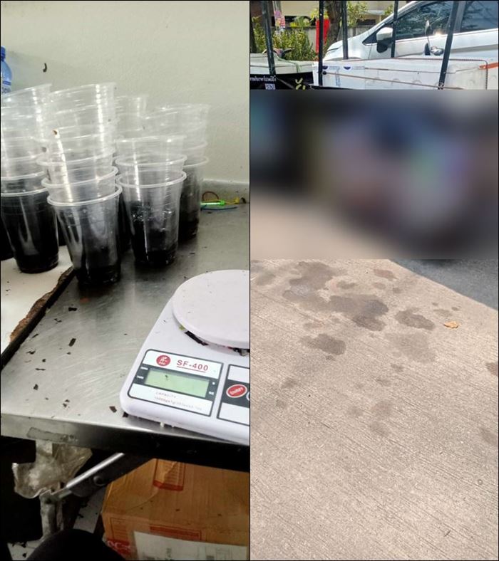 โรงงานเฉาก๊วย