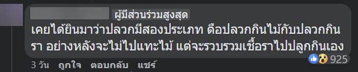 น้ำเต้าดิน