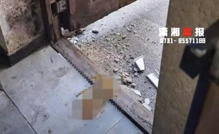 มนุษย์ลุง