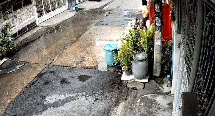 มนุษย์ป้า