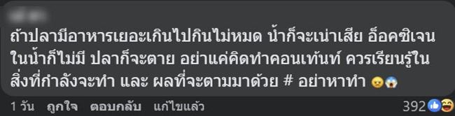 ให้อาหารปลา