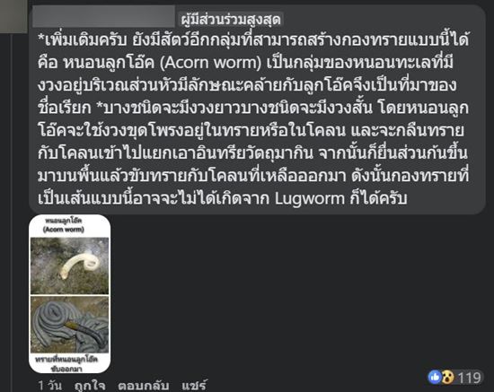 หนอนลูกโอ๊ค