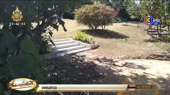 ฝรั่งถีบหมอ