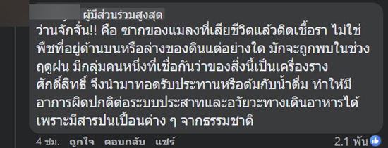 ว่านจักจั่น