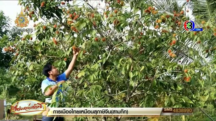 แจกบ้าน