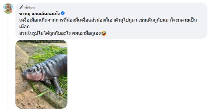 ฟองบนตัวหมูเด้ง เกิดจากอะไร