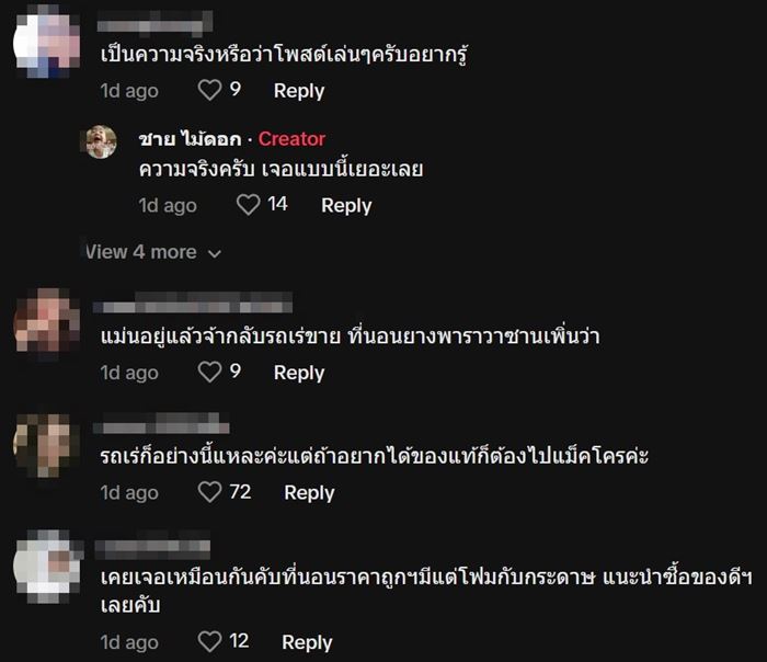 ที่นอนยางพารา