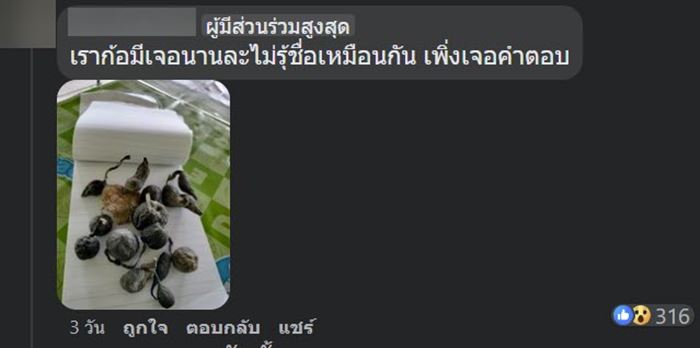 น้ำเต้าดิน