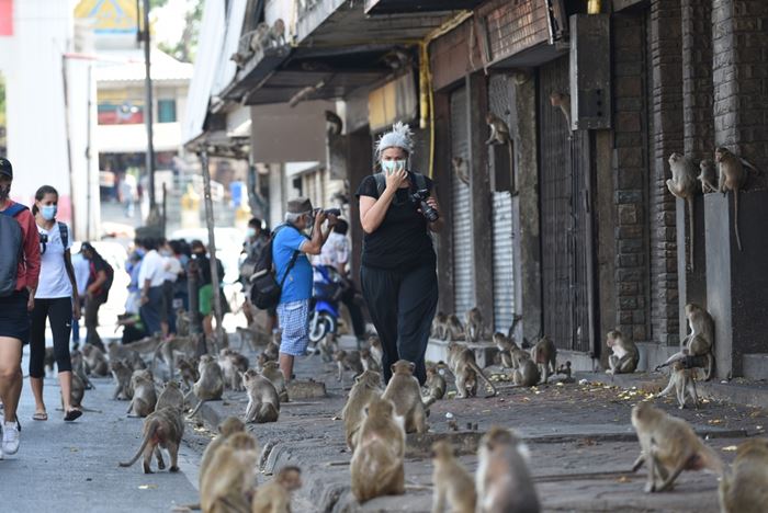 วันธรรมดาที่ลพบุรี