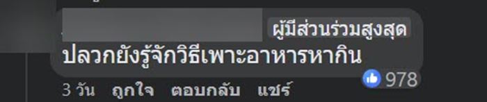 น้ำเต้าดิน