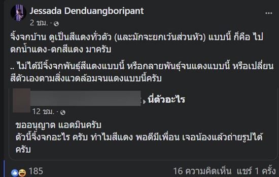 จิ้งจกแดง