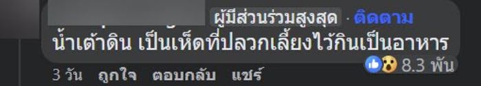น้ำเต้าดิน