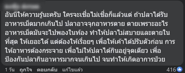 ให้อาหารปลา