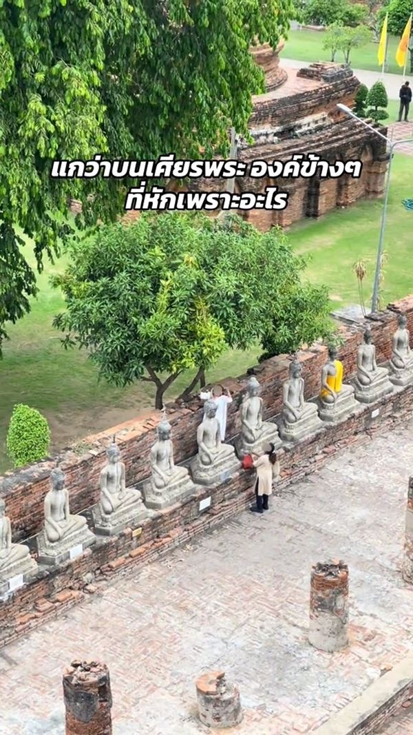 นักท่องเที่ยว ปีนขึ้นพระพุทธรูป ขโมยมะม่วงจากต้น