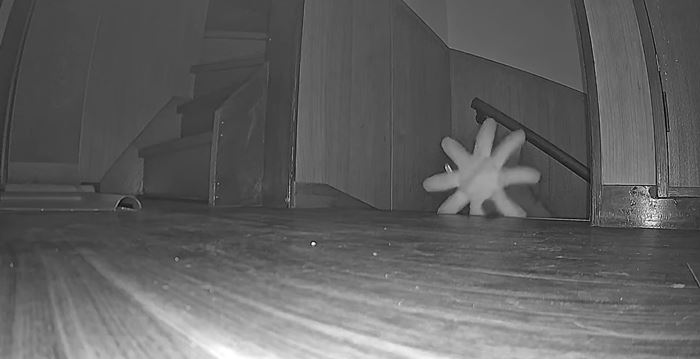 กล้องจับภาพเงาประหลาด ขึ้นบันไดกลางดึก ดูดี ๆ มีลั่น