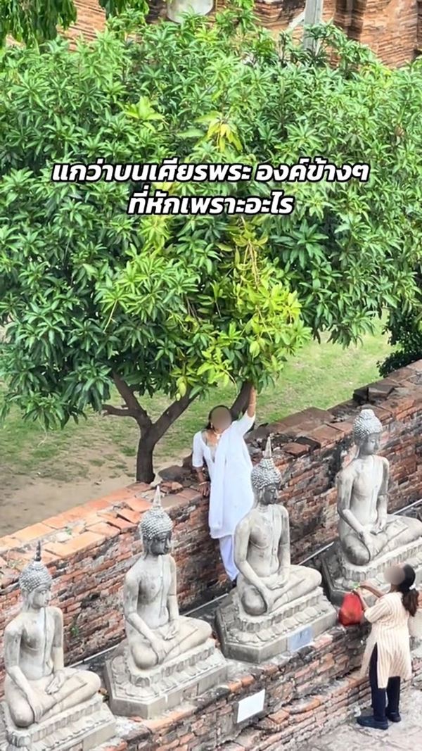 นักท่องเที่ยว ปีนขึ้นพระพุทธรูป ขโมยมะม่วงจากต้น