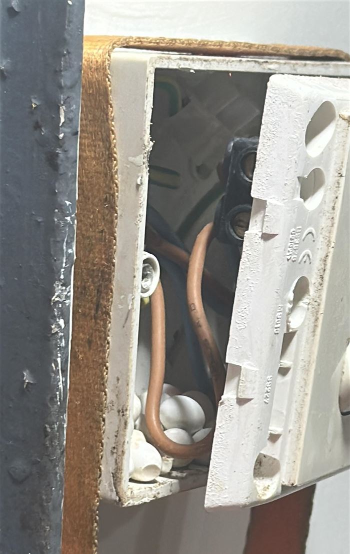 หญิงถอดกล่องสวิตช์ ผงะเจอไข่ปริศนาเรียงราย ถามมันคืออะไร