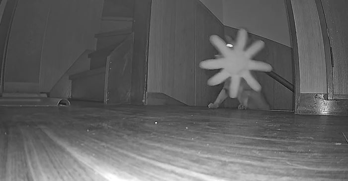 กล้องจับภาพเงาประหลาด ขึ้นบันไดกลางดึก ดูดี ๆ มีลั่น