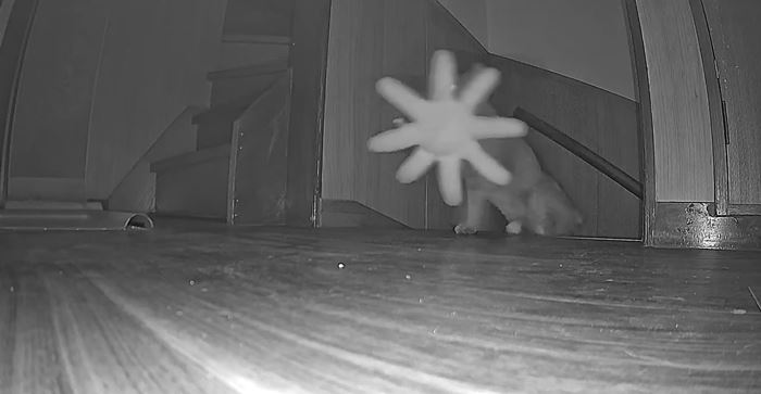 กล้องจับภาพเงาประหลาด ขึ้นบันไดกลางดึก ดูดี ๆ มีลั่น