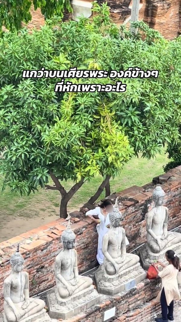 นักท่องเที่ยว ปีนขึ้นพระพุทธรูป ขโมยมะม่วงจากต้น