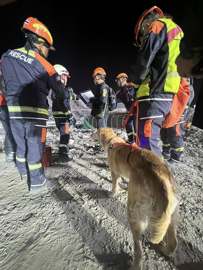 พบสัญญาณชีพ 15 คน ใต้ซากตึกถล่ม