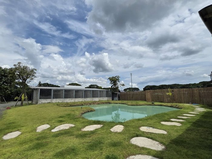 ประกาศขายบ้านแถมสิงโต