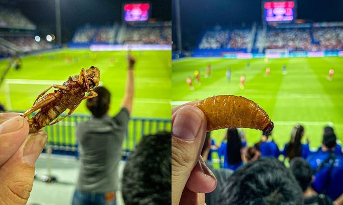 ฝรั่งแชร์ภาพกินแมลงทอดที่สนามบอลไทย