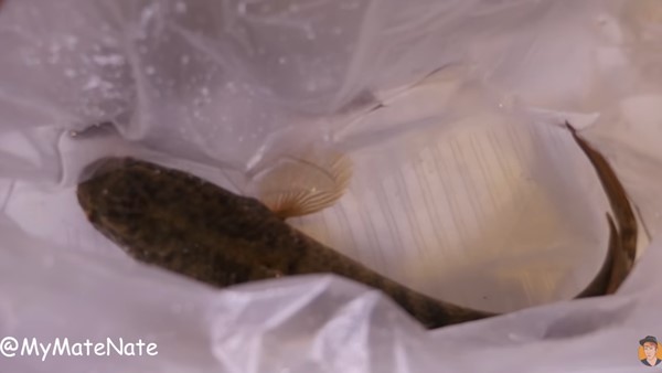 ดราม่า ! คลิปการทดลอง 