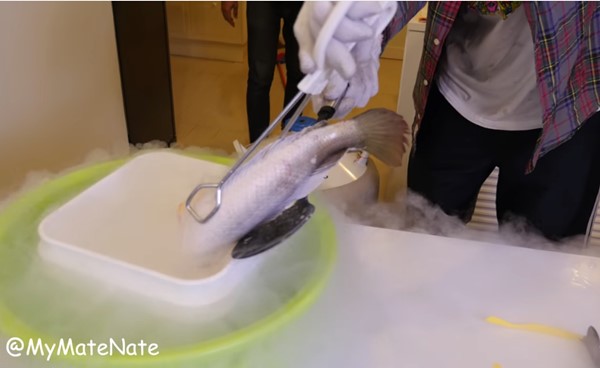 ดราม่า ! คลิปการทดลอง 