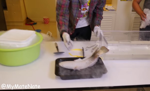 ดราม่า ! คลิปการทดลอง 