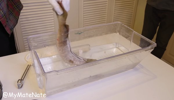 ดราม่า ! คลิปการทดลอง 