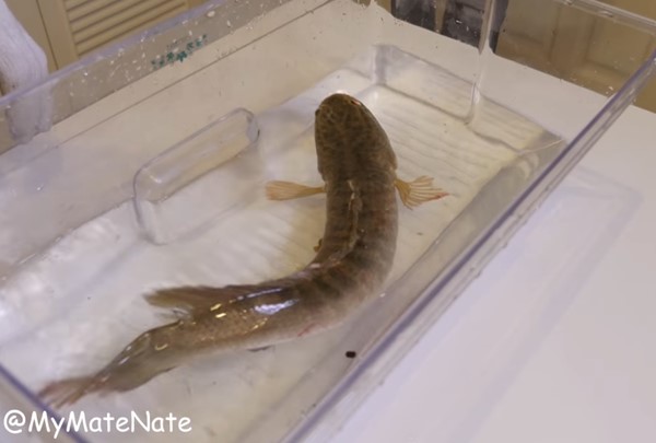 ดราม่า ! คลิปการทดลอง 