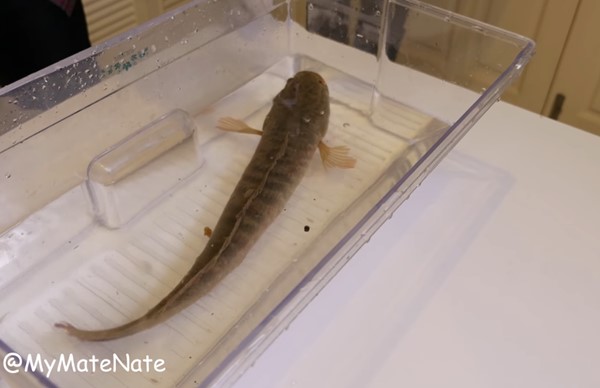 ดราม่า ! คลิปการทดลอง 