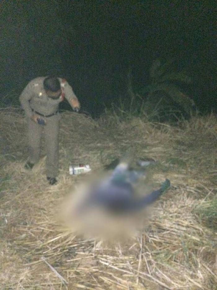 พี่ฆ่าน้อง