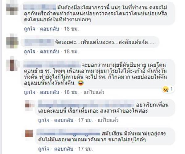 เอาหมามุ่ยเทใส่รถ